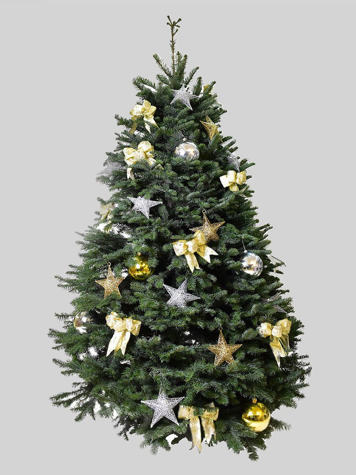 聖誕樹 - 貴族松 (8-9呎)
