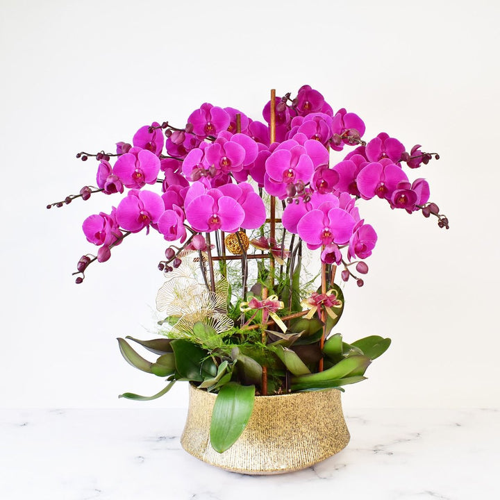 CNY Joyous Purple Orchid Arrangement